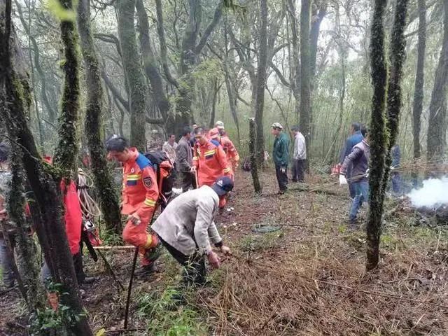 监控下的哀牢山居民们，16小时的细致观察