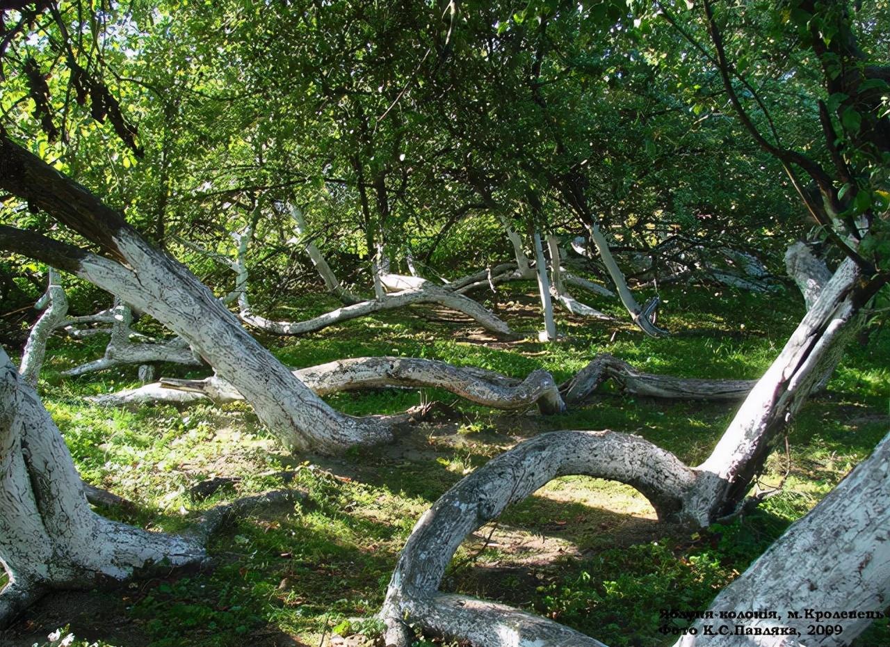 时代峰峻噪声超标，问题、影响与解决方案