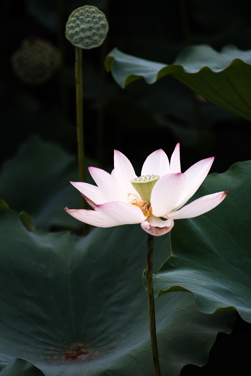 立夏的脚步，13时57分的季节交替